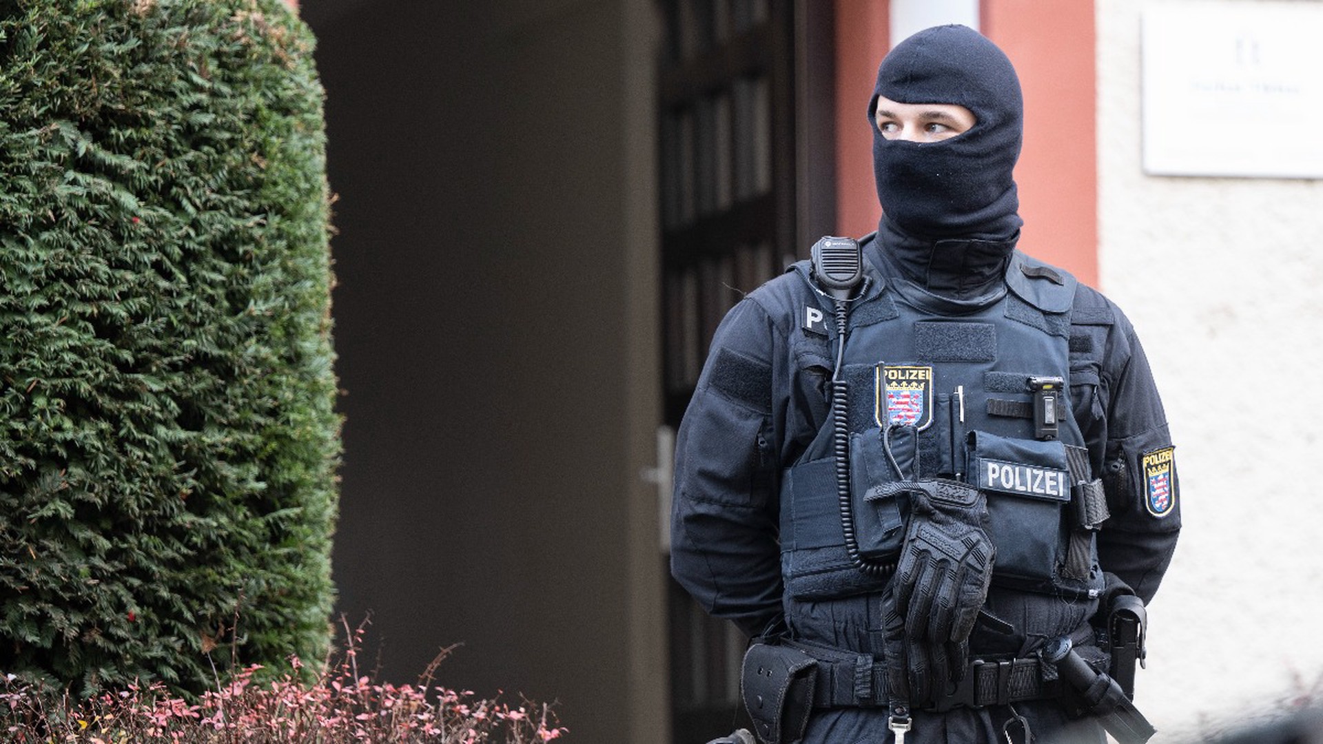 Ударили по бюргерам: от чего отвлекают внимание арестами власти Германии