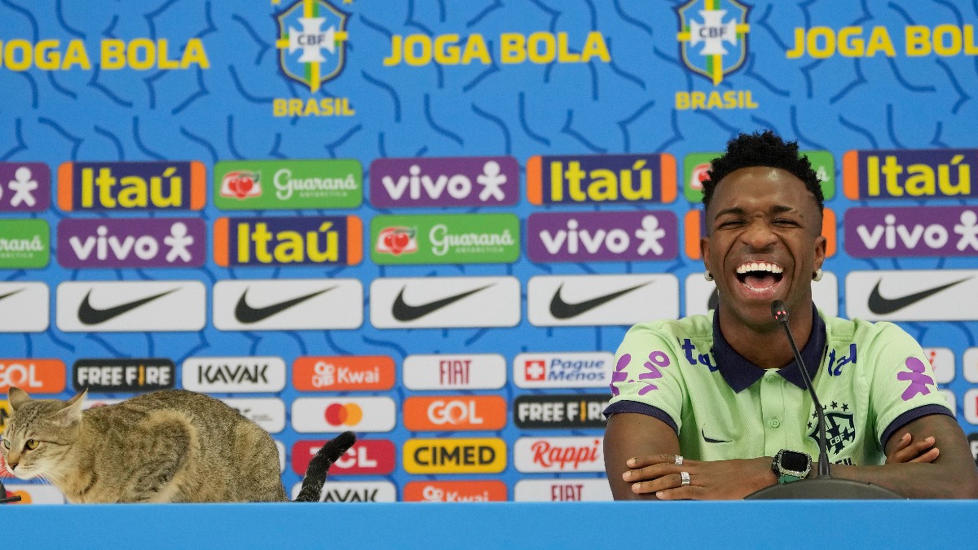 Болельщики пообещали сборной Бразилии по футболу «кошачье проклятие» на ЧМ-2022