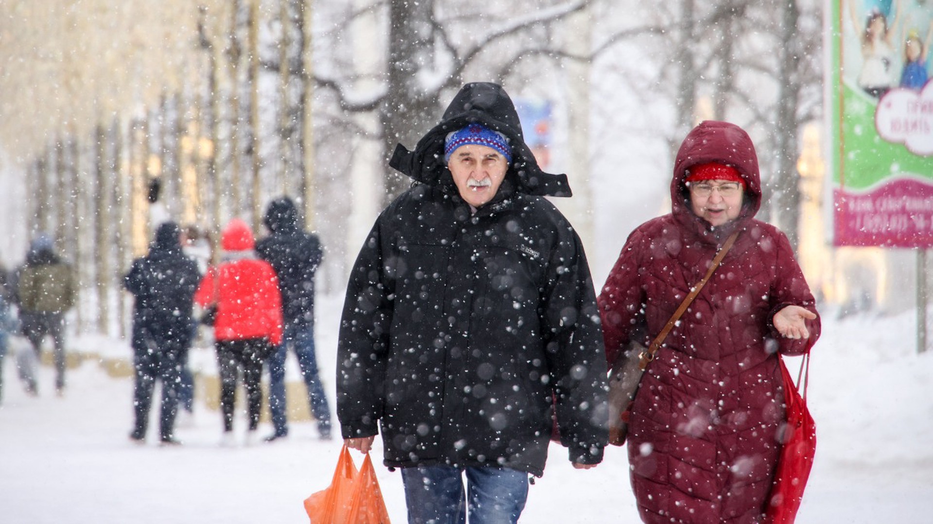 Росстат: четверть населения России составляют пожилые люди