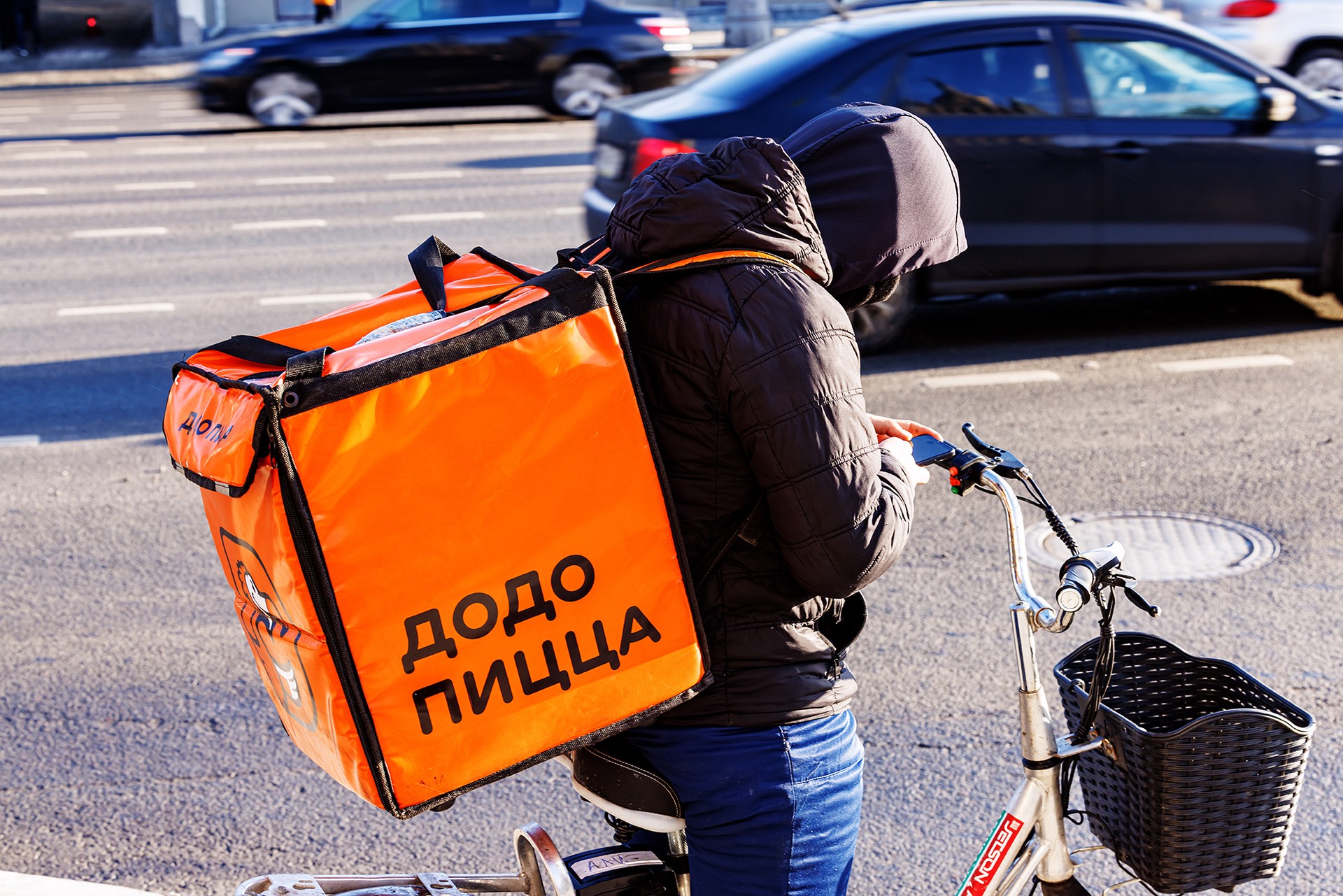 «Додо» и нет: что показала история бездомной собаки и уволенного за доброту к ней курьера