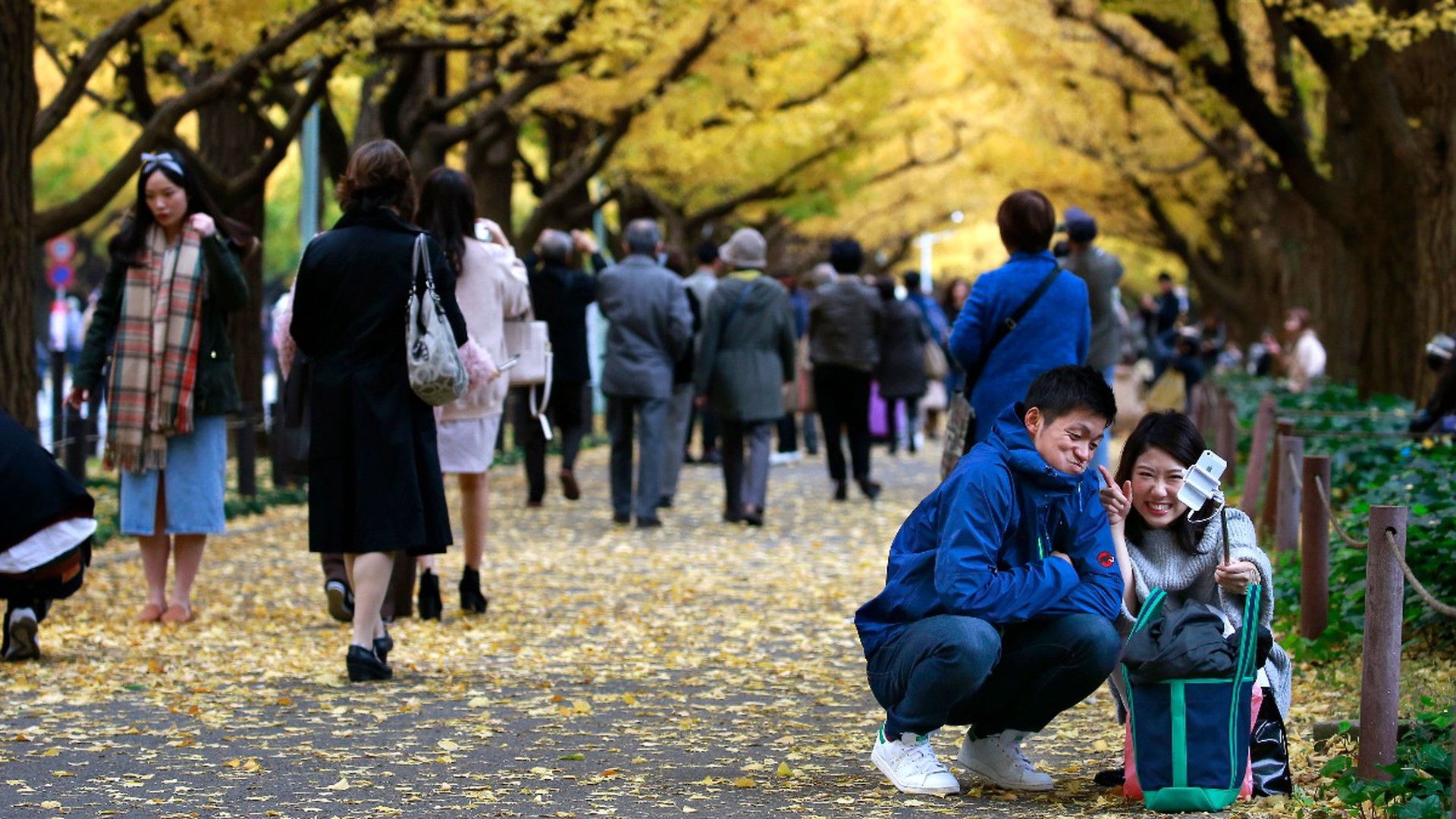 Япония вымирает: такова расплата за технологии?