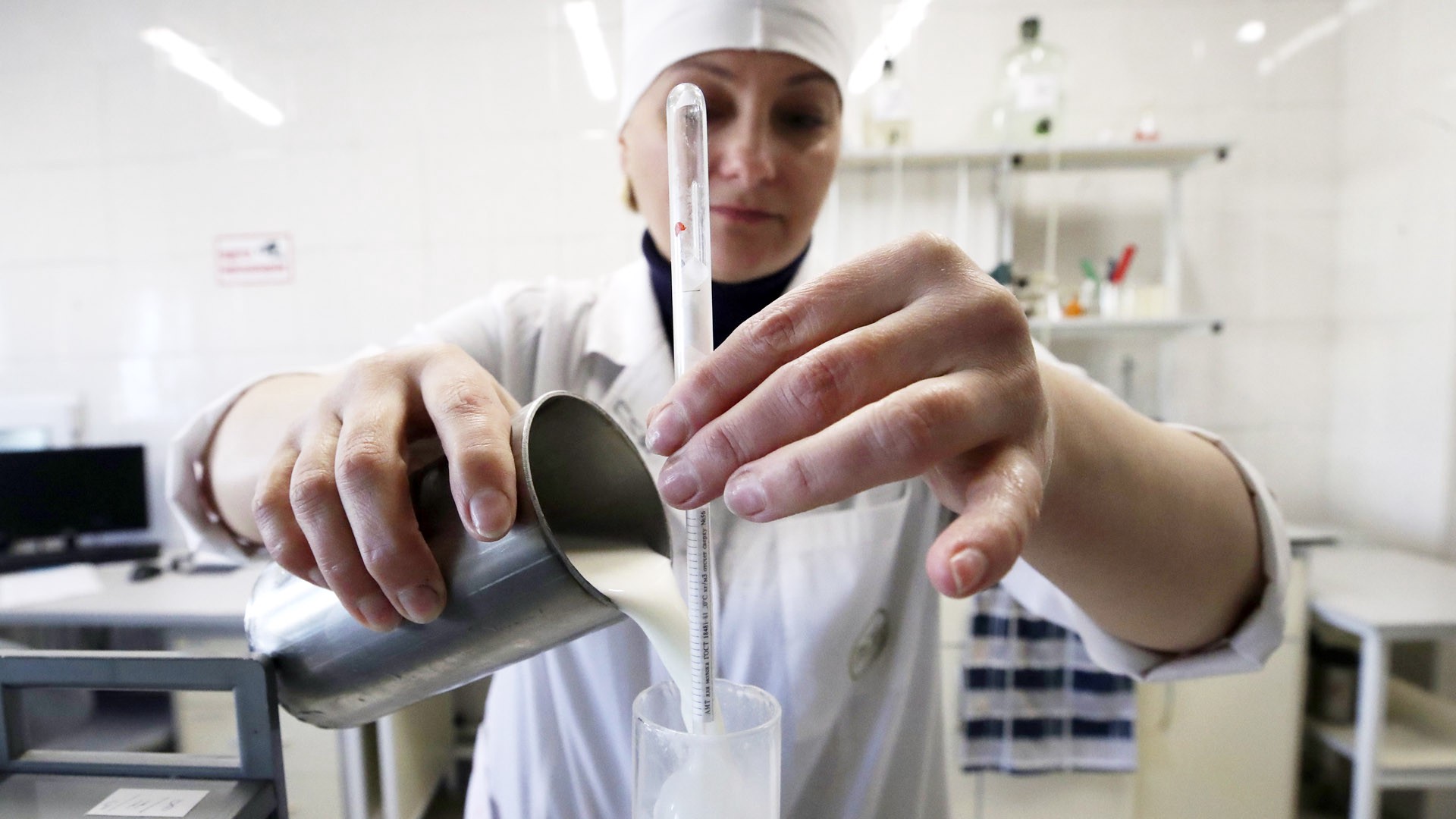 Стало известно о преступных схемах с экспортом молока из Белоруссии в Россию 