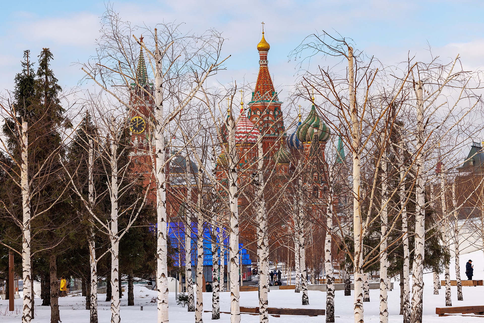 Юрист предупредил, когда сбор березового сока может обернуться штрафом