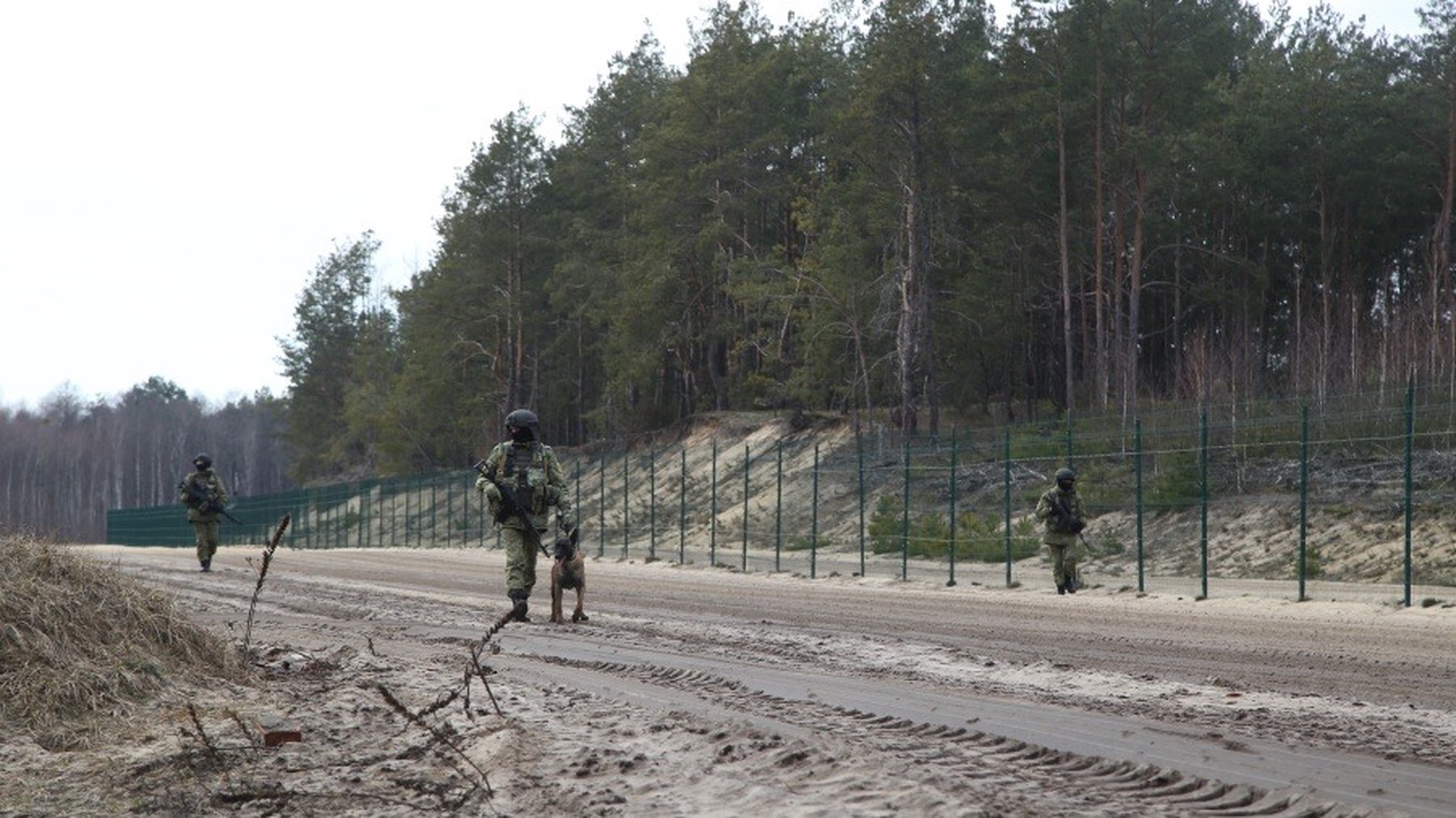 Польских пограничников забросали камнями со стороны Белоруссии