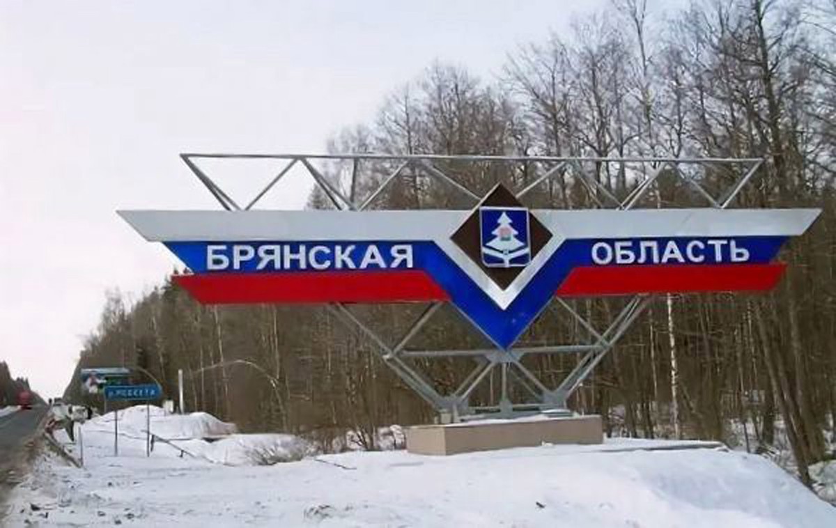 Силы ПВО сбили 10 беспилотников над Брянской областью