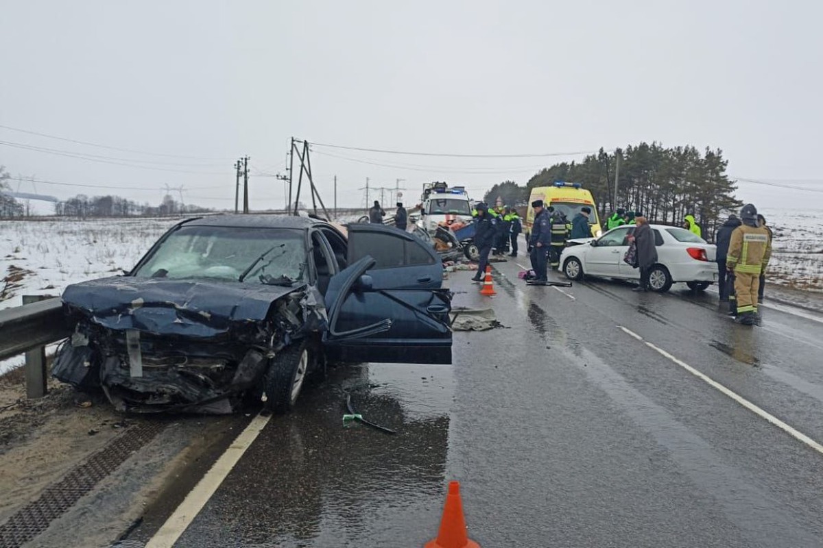 Пять человек погибли в ДТП под Москвой