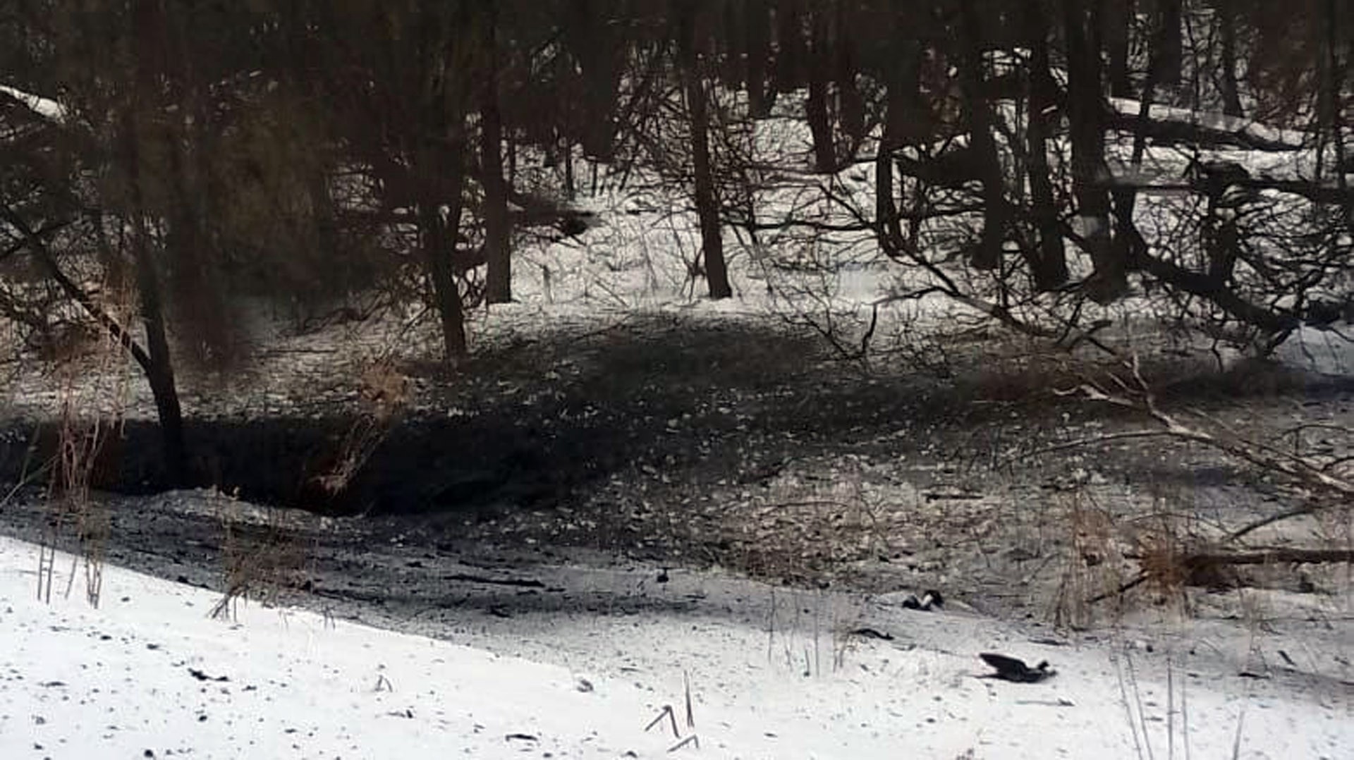 Власти Тульской области назвали одну из версий взрыва недалеко от посёлка Березовский