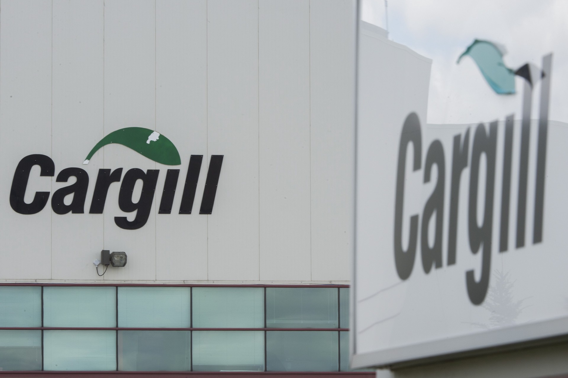 Cargill продукция. Cargill логотип. Cargill масло. Каргилл Индия.