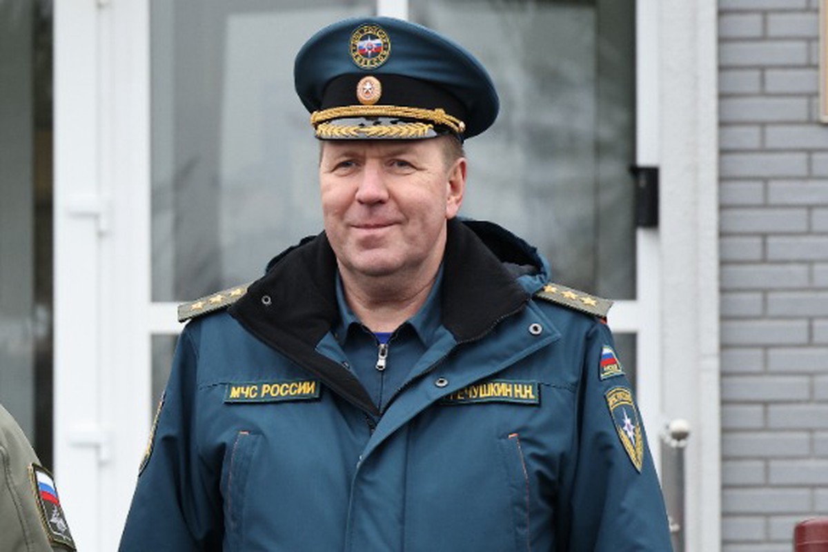 Президент Путин освободил от должности замглавы МЧС генерал-полковника Гречушкина 