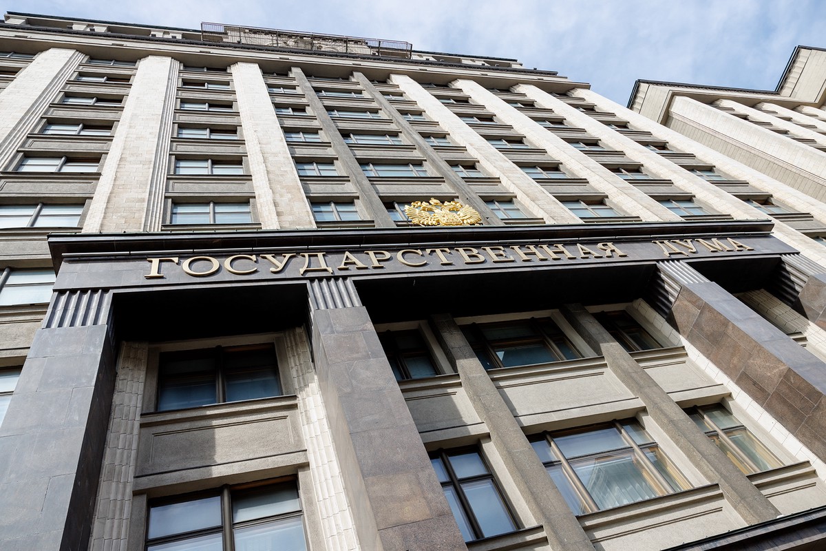 В Госдуме предложили создать горячую линию для борьбы с провокаторами