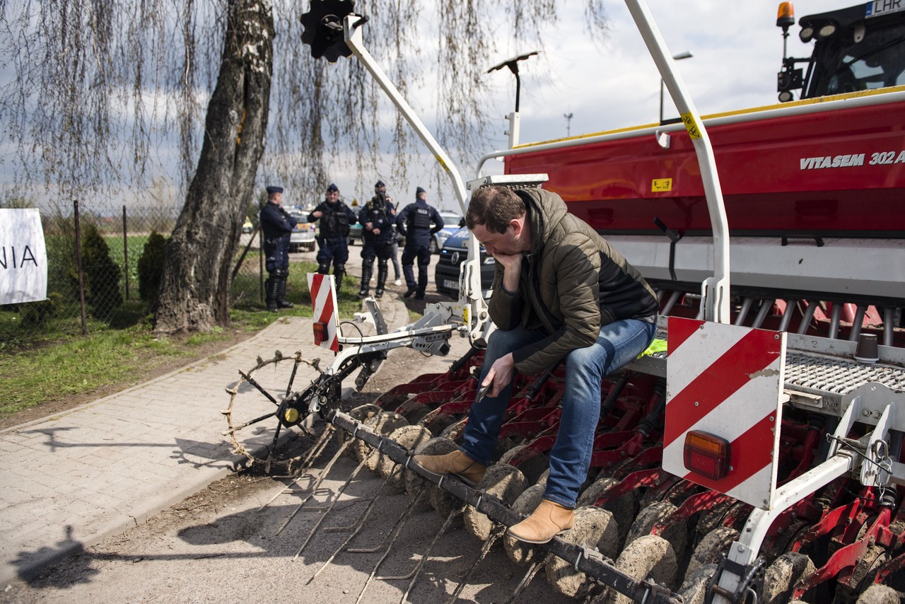 Зерновые войны: почему странам ЕС вдруг оказалась не нужна украинская пшеница