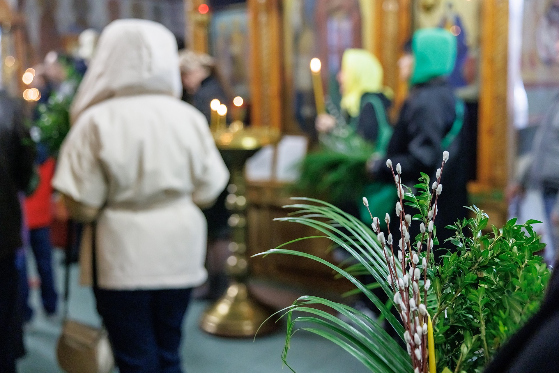 В РПЦ рассказали, что аллергики могут взять в храм пальмовую ветвь вместо вербы
