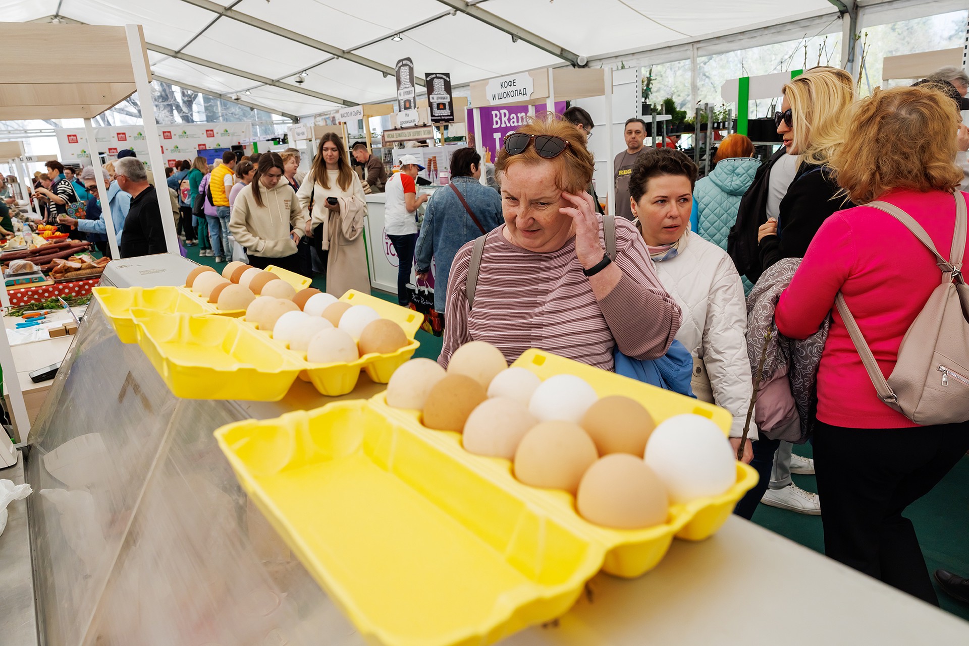 ФАС начала проверку торговых сетей «Магнит» и «Пятёрочка» из-за цен на яйца