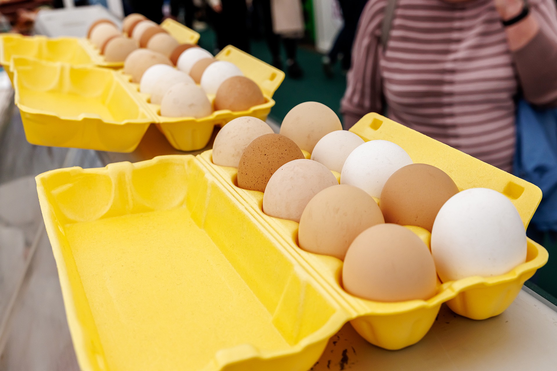 Минсельхоз: куриные яйца в торговых сетях подешевеют в ближайшее время