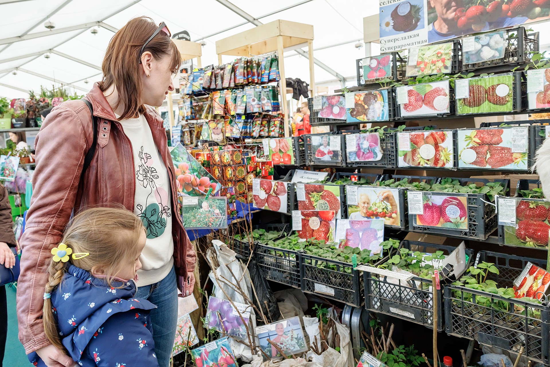 Россиянам рассказали, когда начинать готовиться к дачному сезону