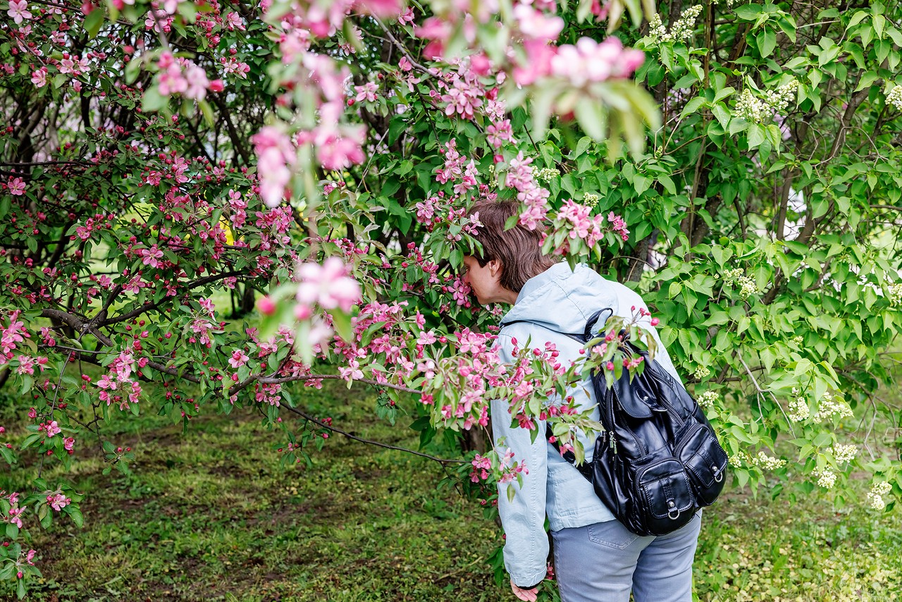Клещ-момент: где в России водятся опасные насекомые и как от них защититься