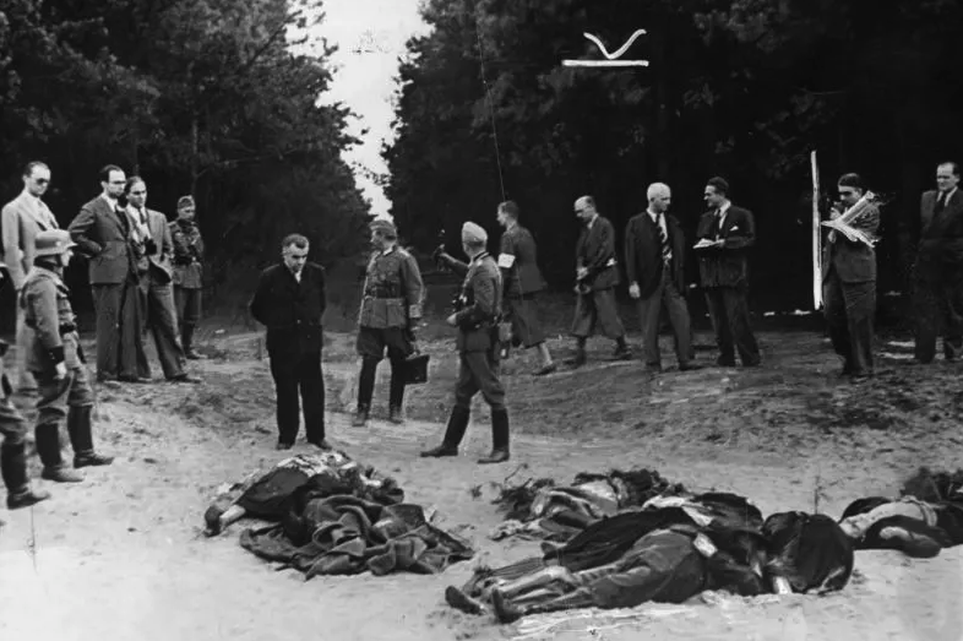 В мести с Польшей: почему России стоит признать Волынскую резню геноцидом польского народа