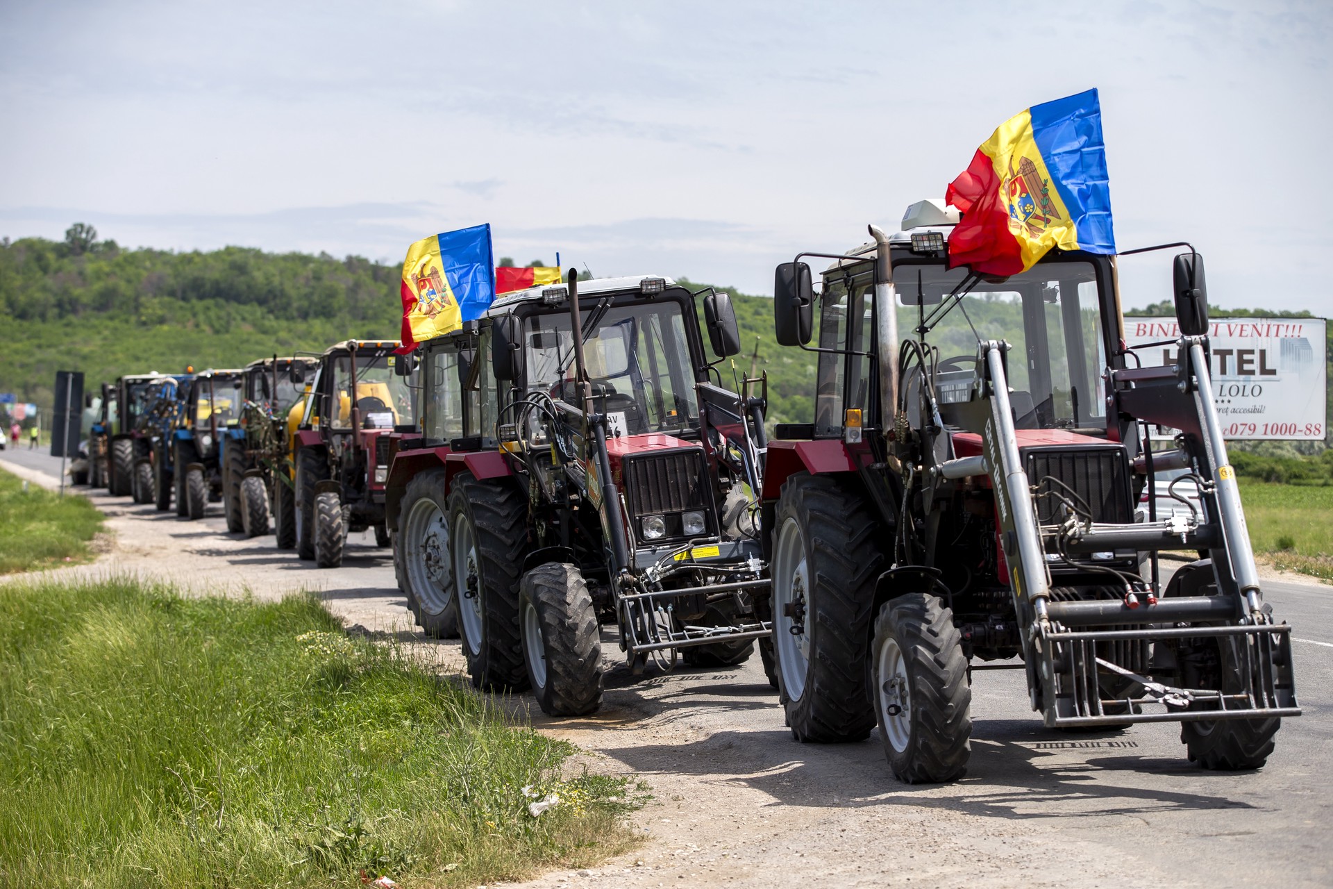 Просили снять Майечку: как молдавские фермеры воюют со своим президентом