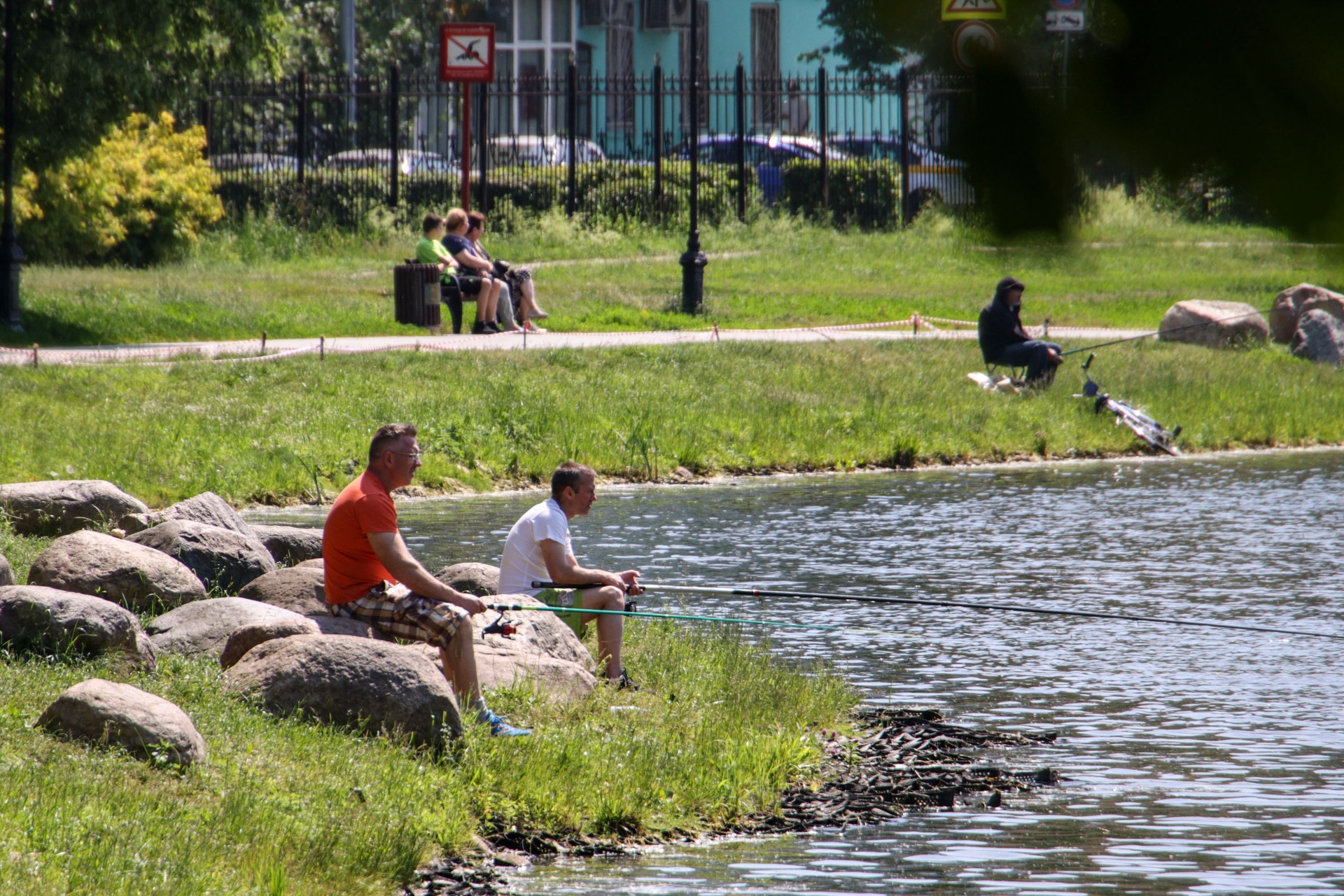 Пенсионер во время рыбалки области нашел останки ледникового периода