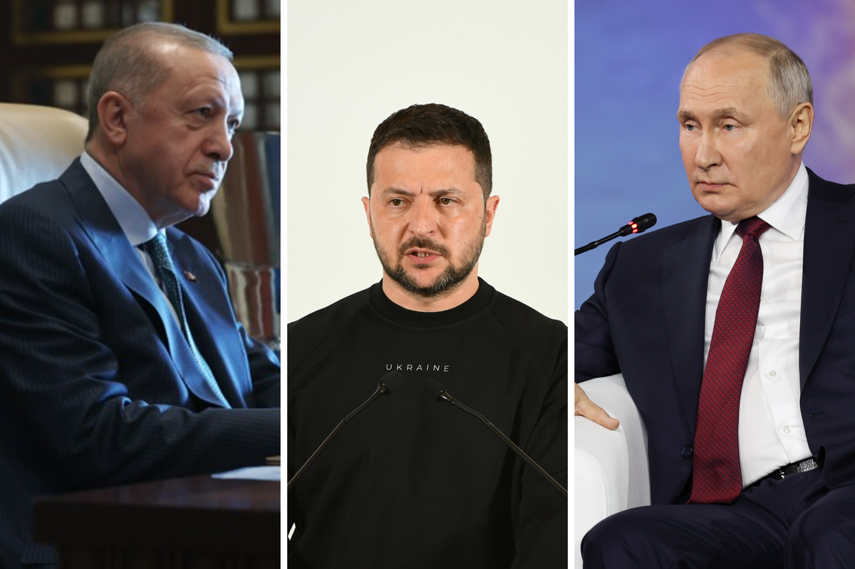 Политолог рассказал, какое послание Путину может передать Зеленский через Эрдогана