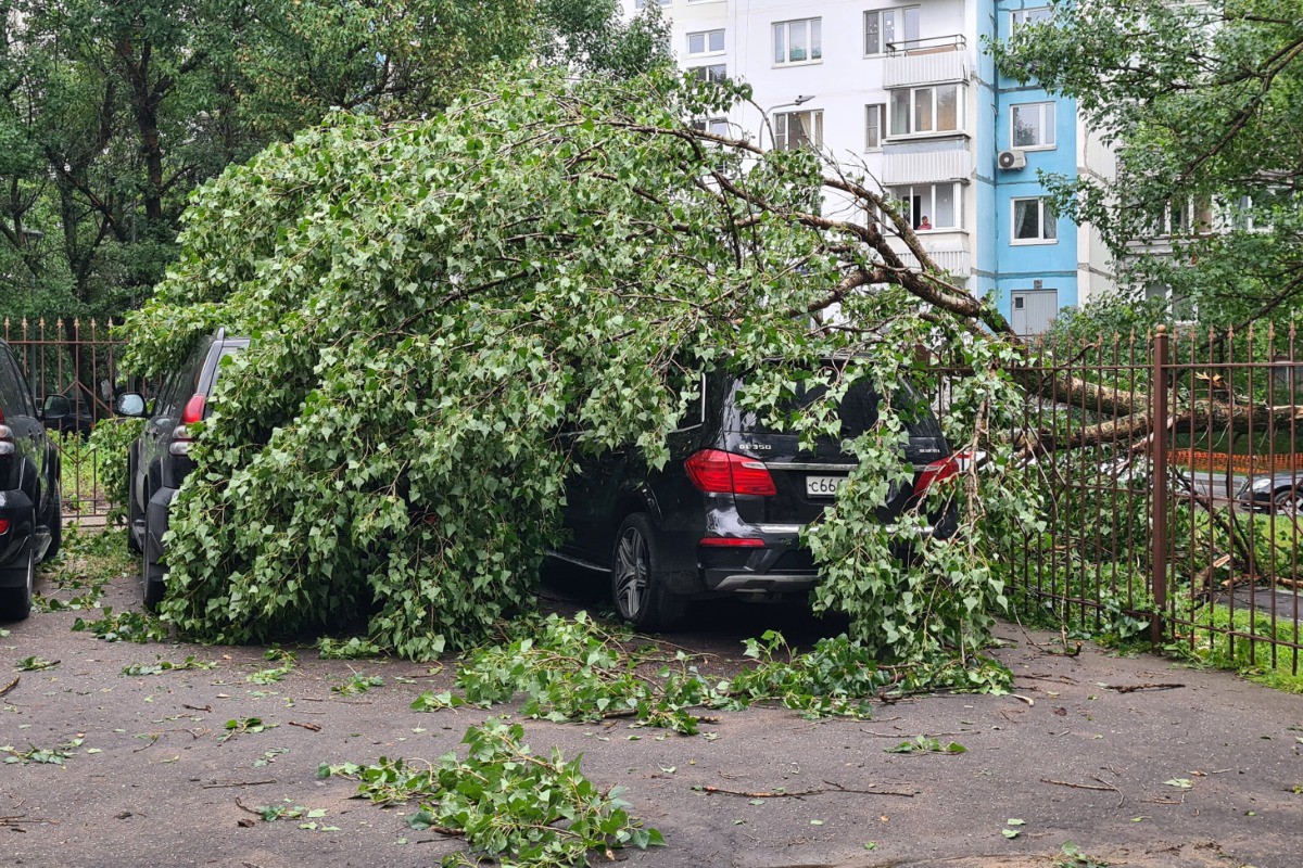 Четверо взрослых и три ребёнка погибли в Марий Эл из-за урагана