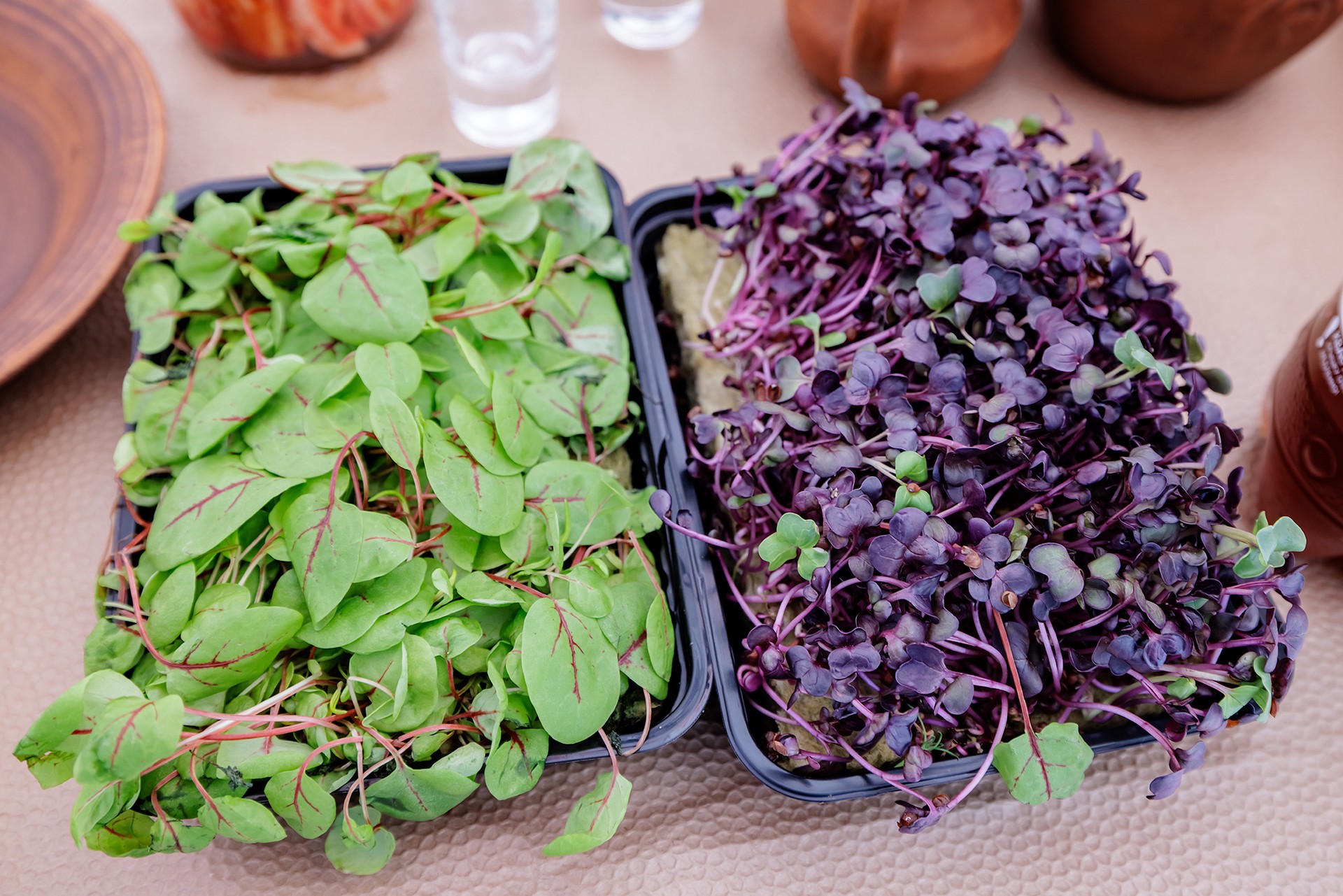 Диетолог раскрыла, чем заменить витаминные комплексы весной