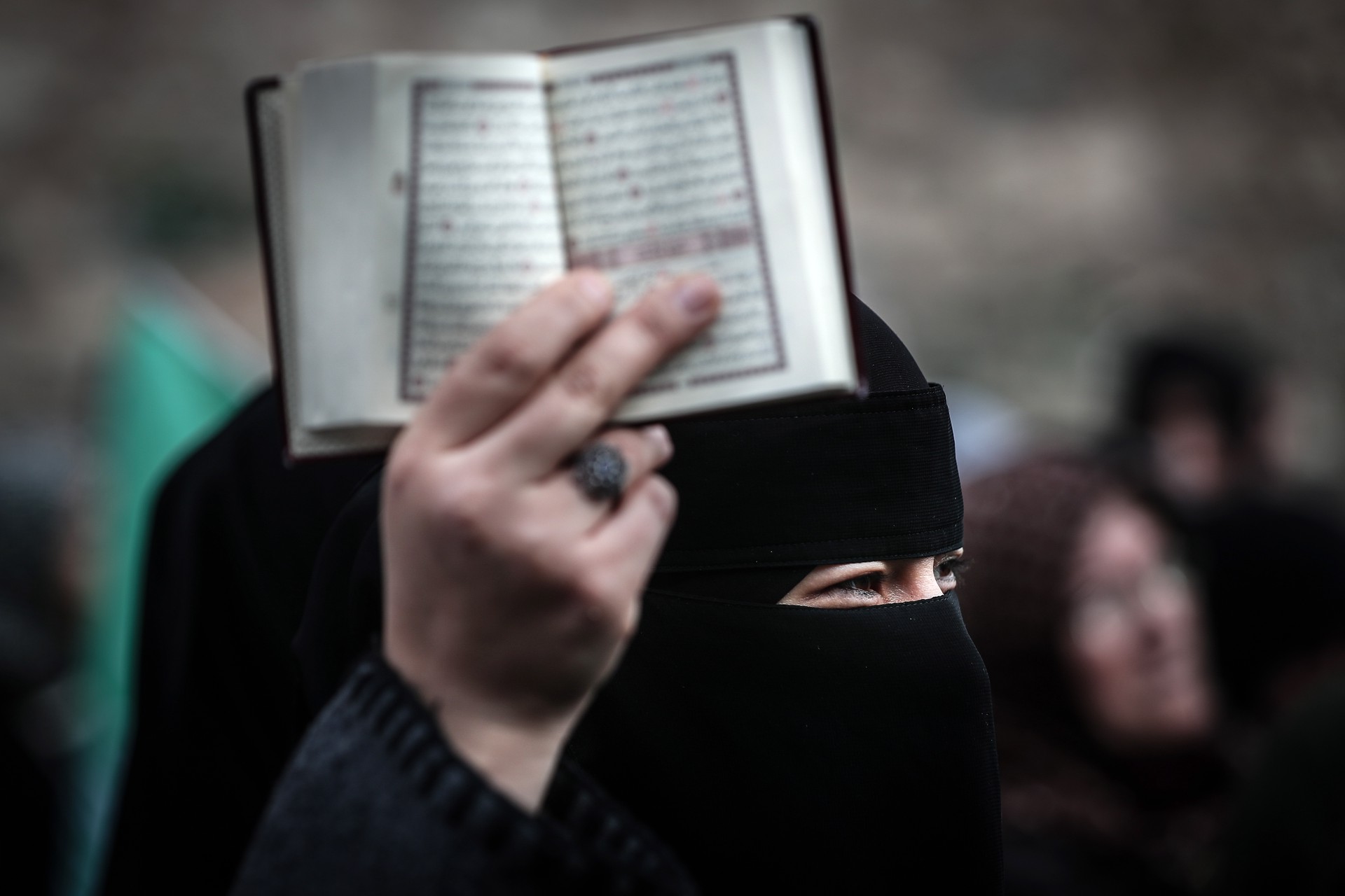 В МИД Египта вызвали временного поверенного в делах Швеции в Каире из-за сожжениея Корана