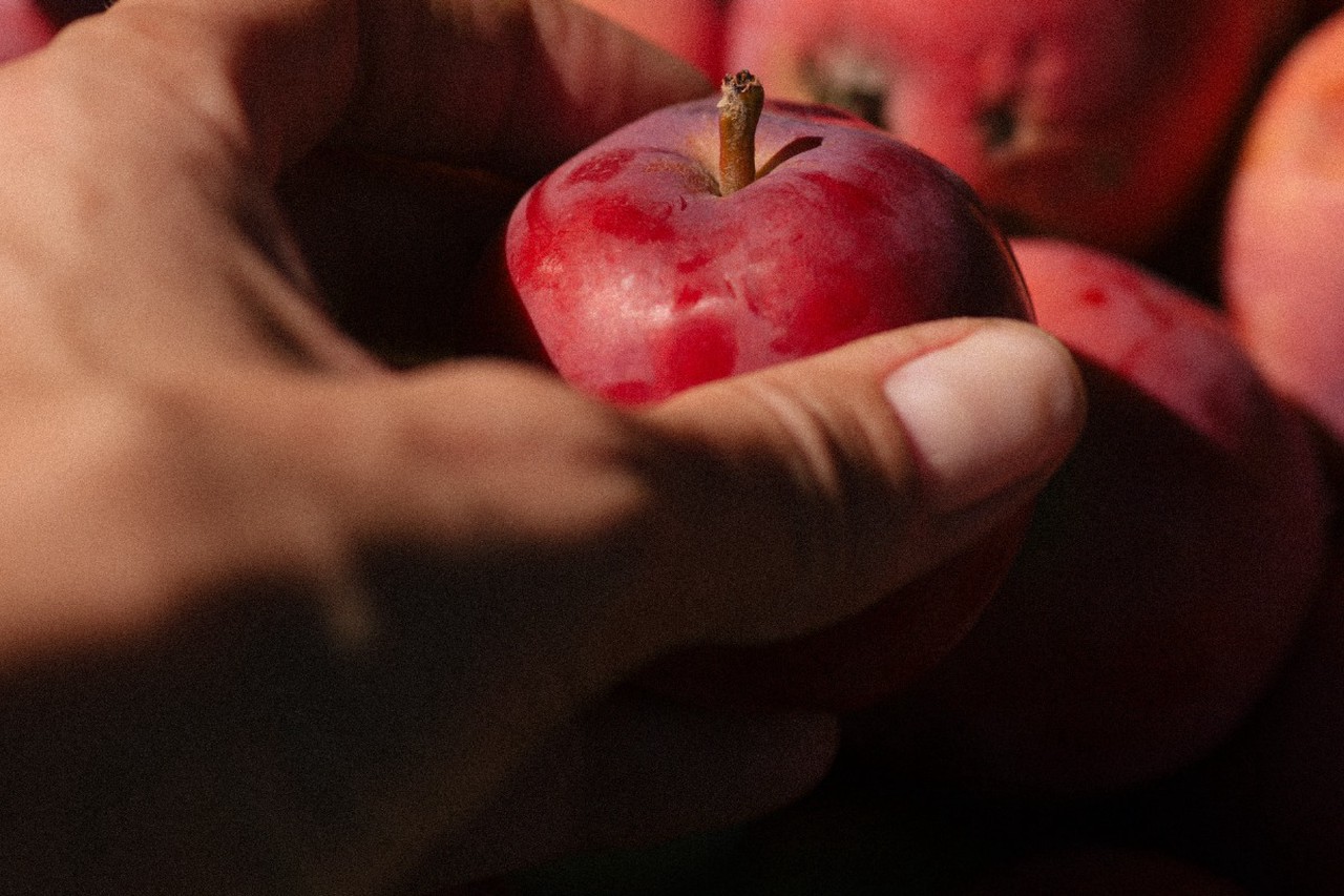 От метеоризма до дыр в желудке: как съесть фрукты и не навредить себе