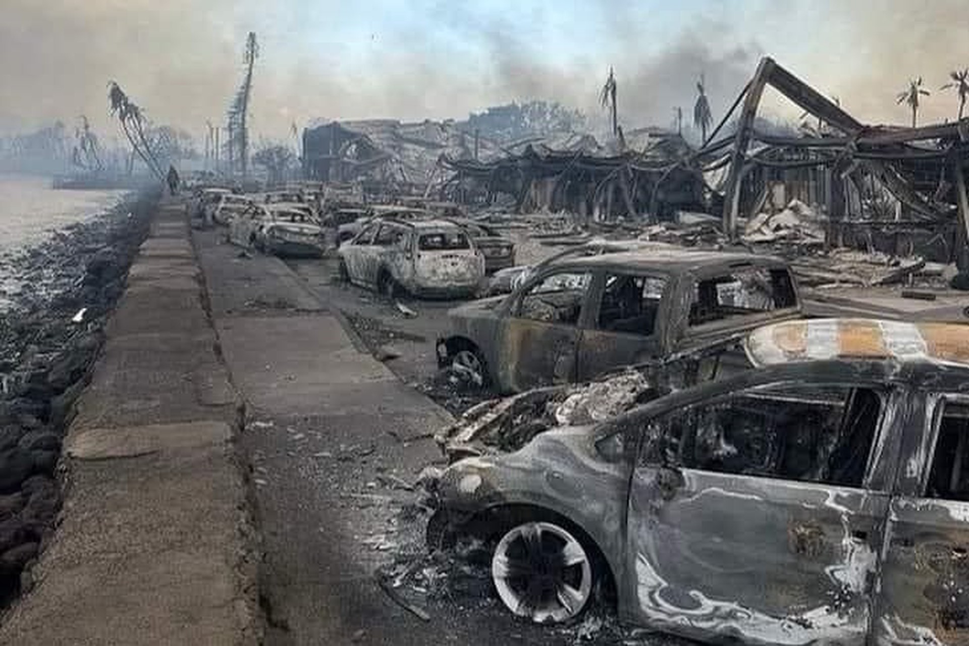 Число погибших при лесных пожарах на Гавайях увеличилось до 89 человек
