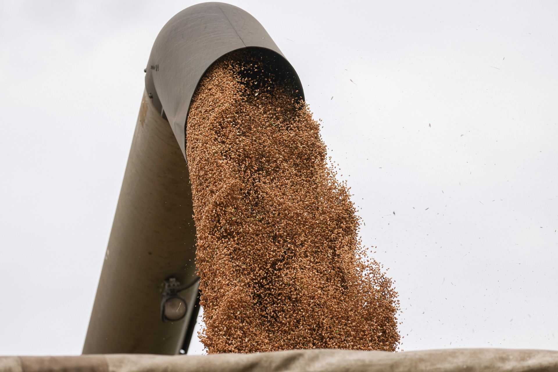 Еврокомиссия снимет ограничения на импорт зерна из Украины в пять приграничных стран