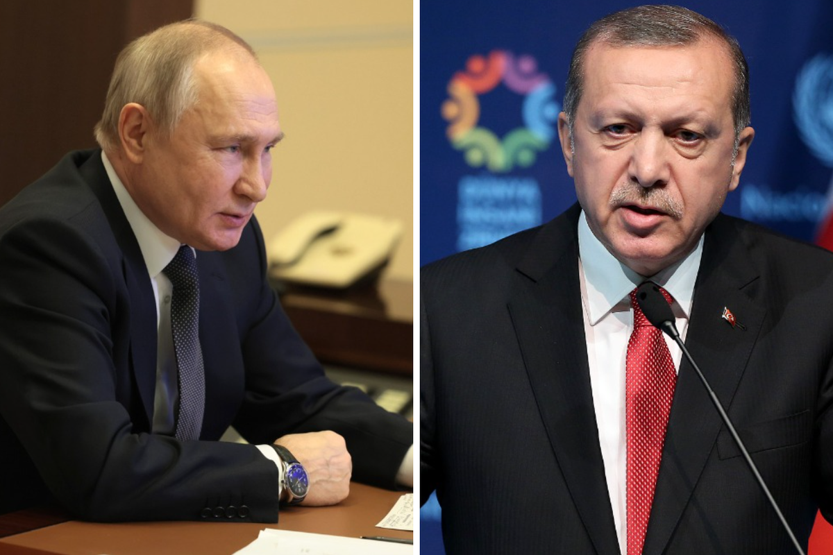 Эрдоган заявил Путину о готовности Анкары сыграть содействующую роль по Украине