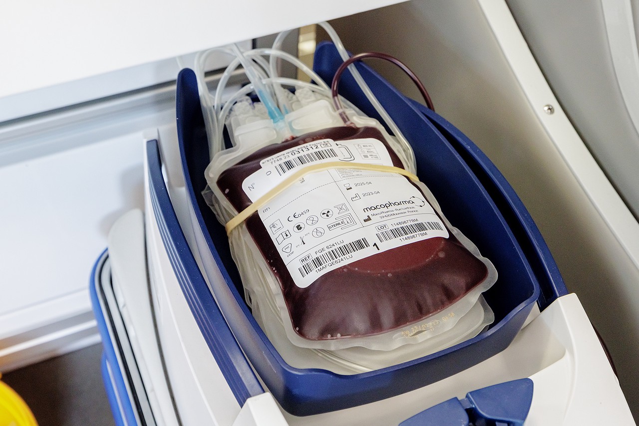 100 лет НМИЦ гематологии: какие заблуждения о крови и донорстве бывают у людей