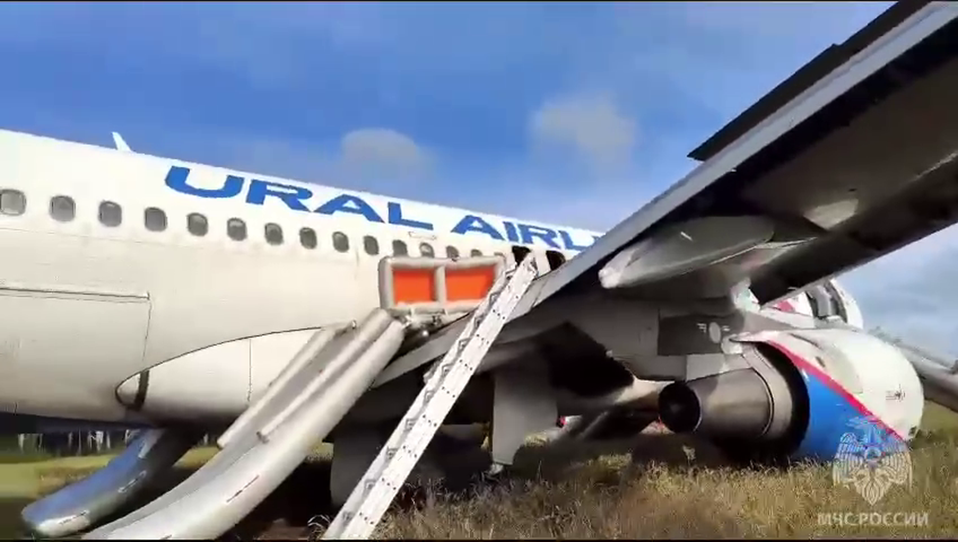 Летевший из Сочи в Омск самолёт совершил вынужденную посадку в поле в Новосибирской области
