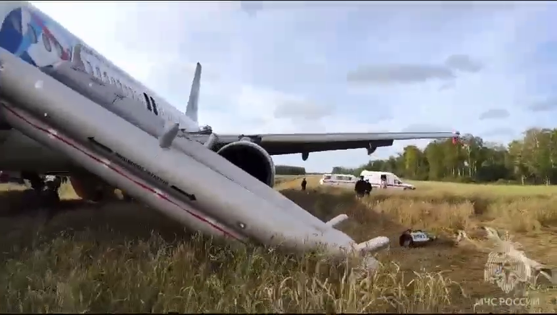 Причиной посадки самолёта в поле под Новосибирском стал отказ гидросистемы