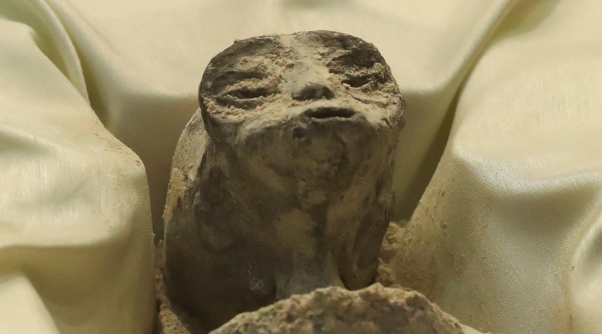 Мексиканские ученые поставили под сомнение подлинность представленных им «мумий инопланетян»