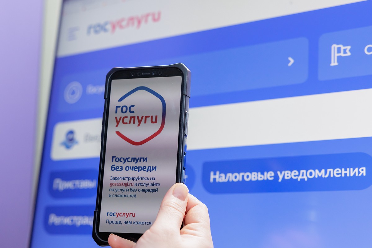 В Госдуме объяснили, для чего нужен раздел знакомств на «Госуслугах»