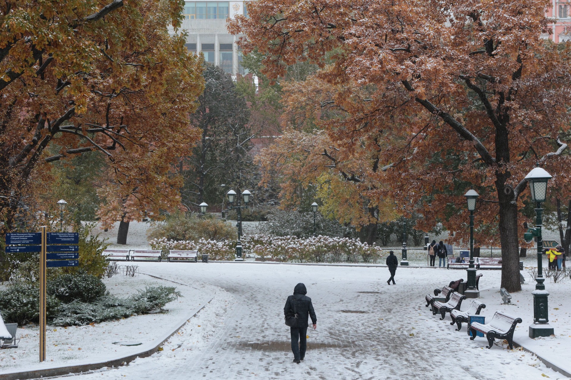 Жителей Московского региона предупредили о приближающемся «арктическом вторжении»
