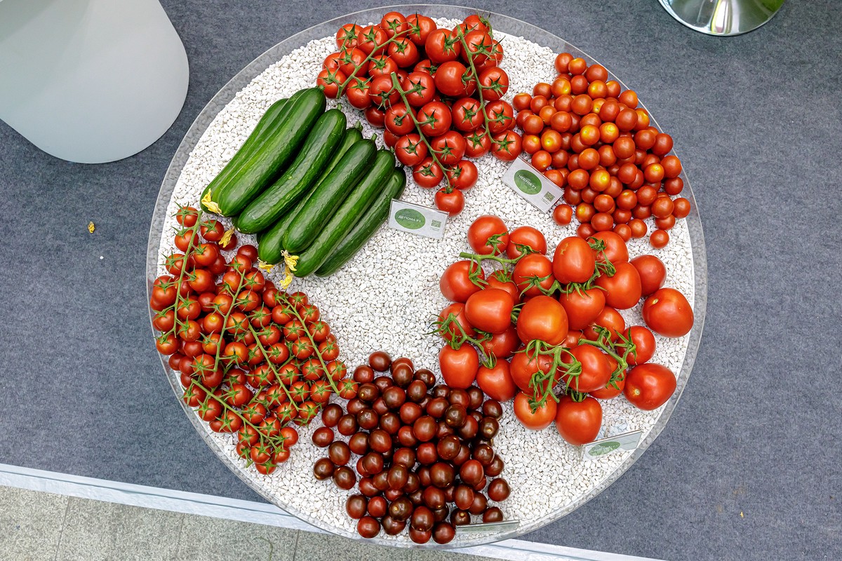 Диетолог Журавлёва назвала продукты для восстановления организма после болезни