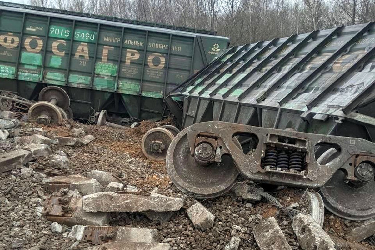 В Рязанской области 19 грузовых вагонов сошли с рельсов