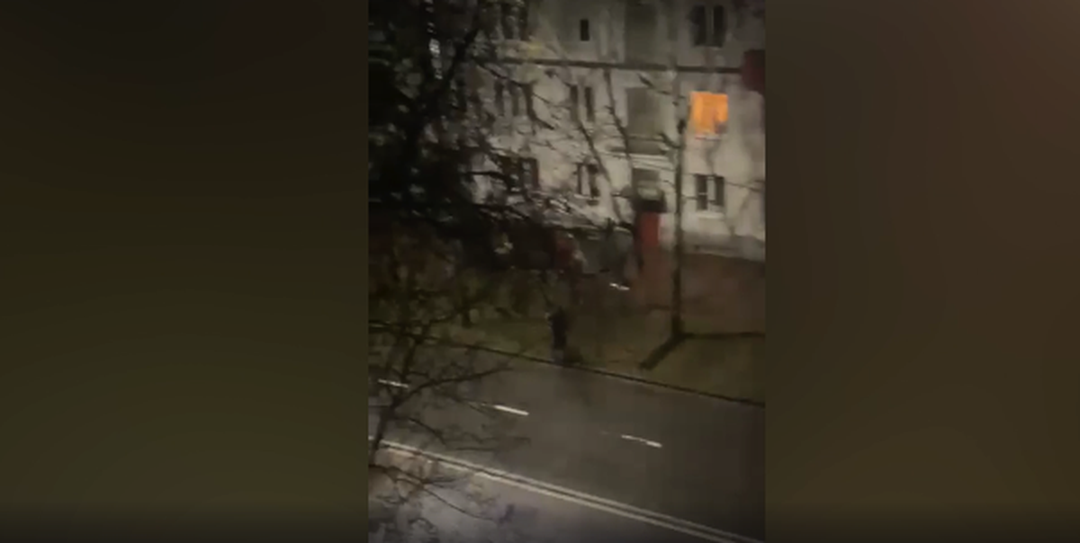 Толпа подростков избила двух мужчин в Раменском