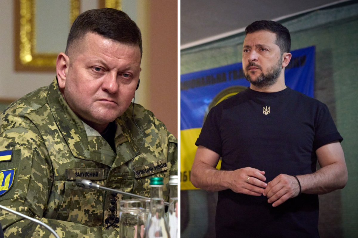 СМИ: Зеленский отправил в отставку главкома ВСУ Залужного 