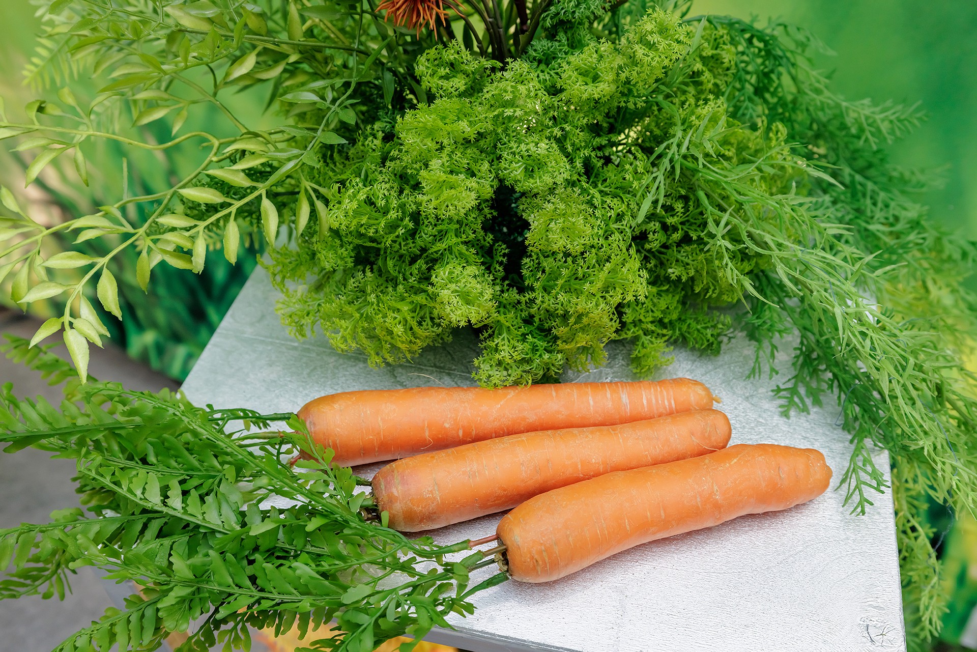 Диетолог Ионова опровергла миф о пользе моркови и черники для зрения