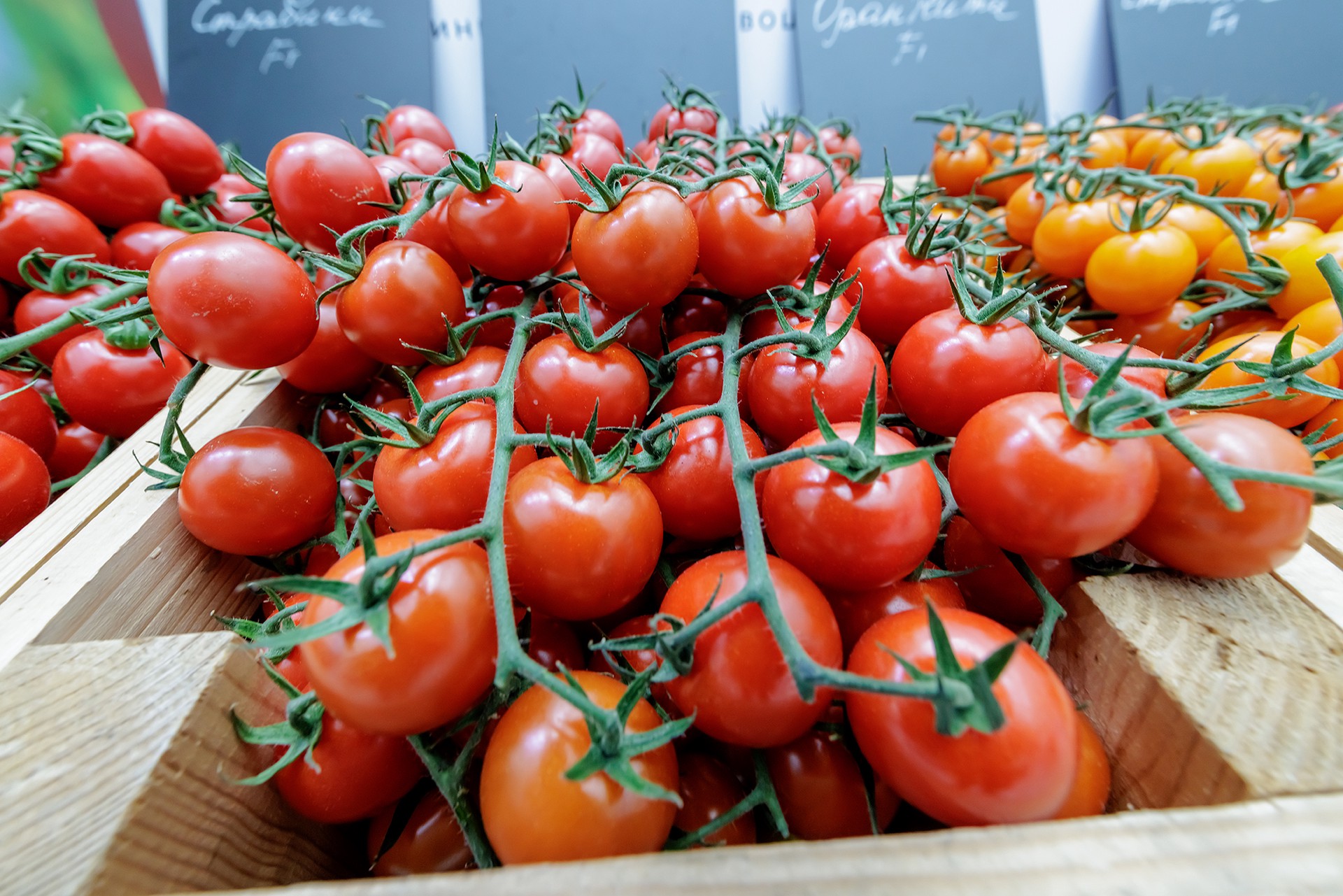 Ученые назвали продукт для снижения риска развития аллергии