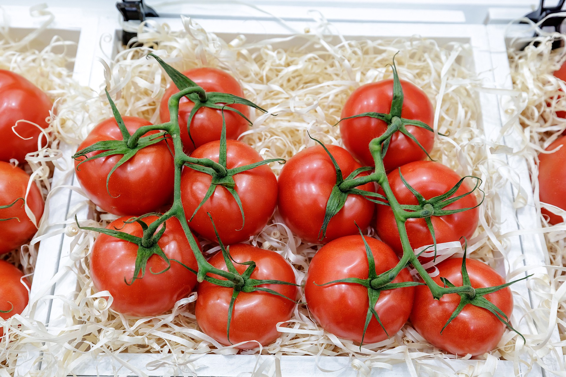 Диетолог оценила пользу зимних помидоров