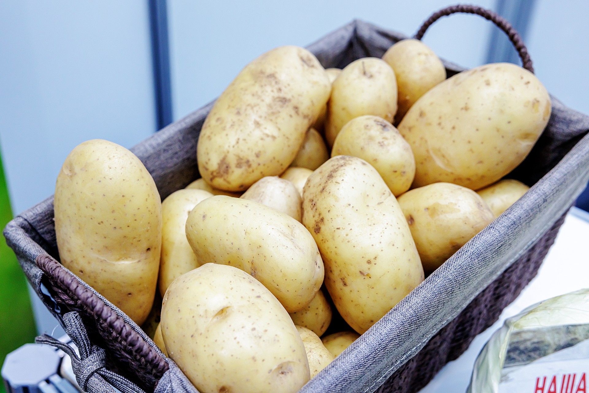 Названо семь самых полезных овощей для Великого поста