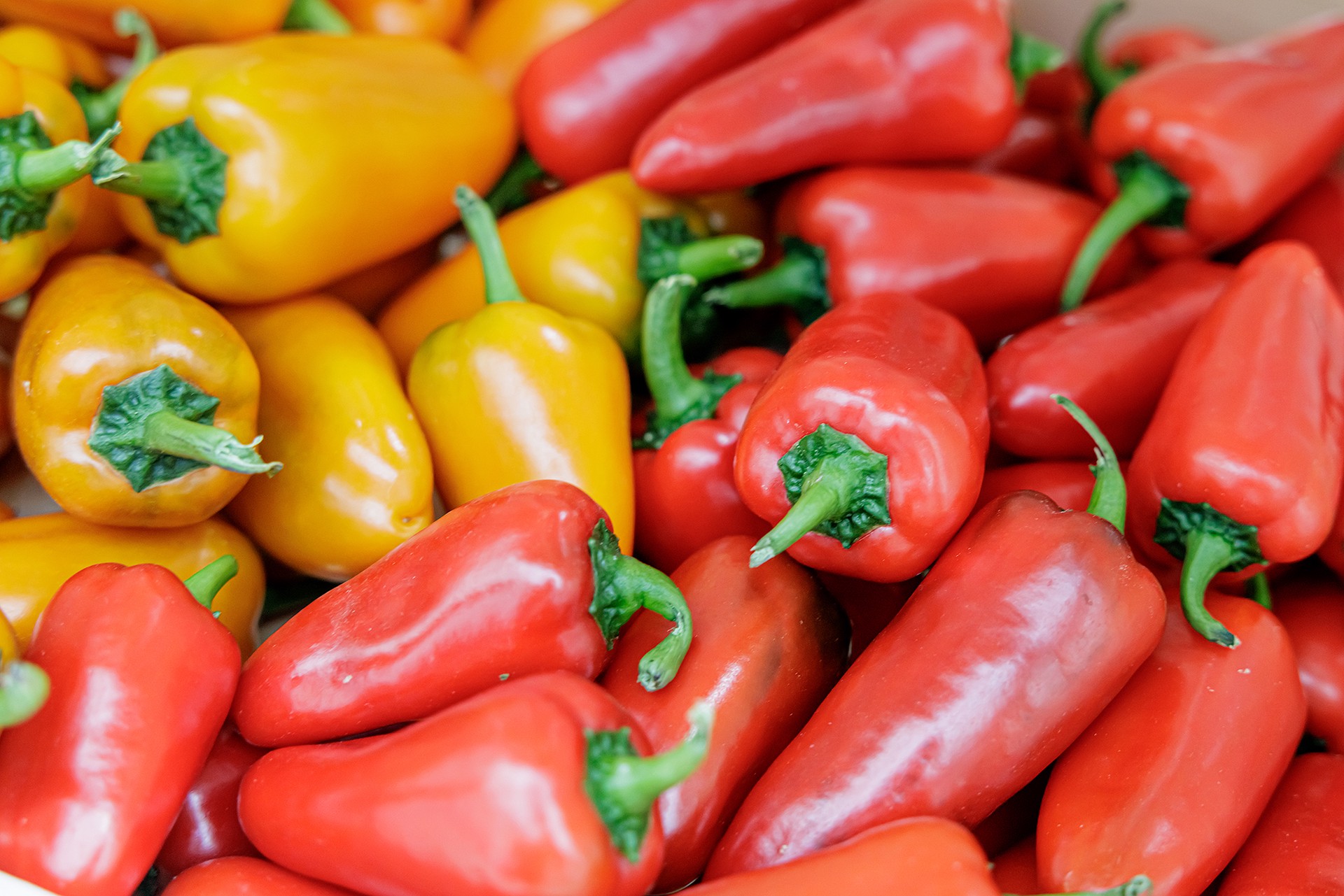 Перебои поставок из Ирана ударят по привычным для россиян овощам