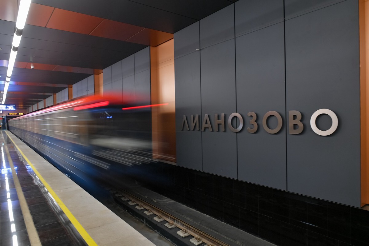 Потерявшаяся собака поселилась у станции метро «Лианозово»
