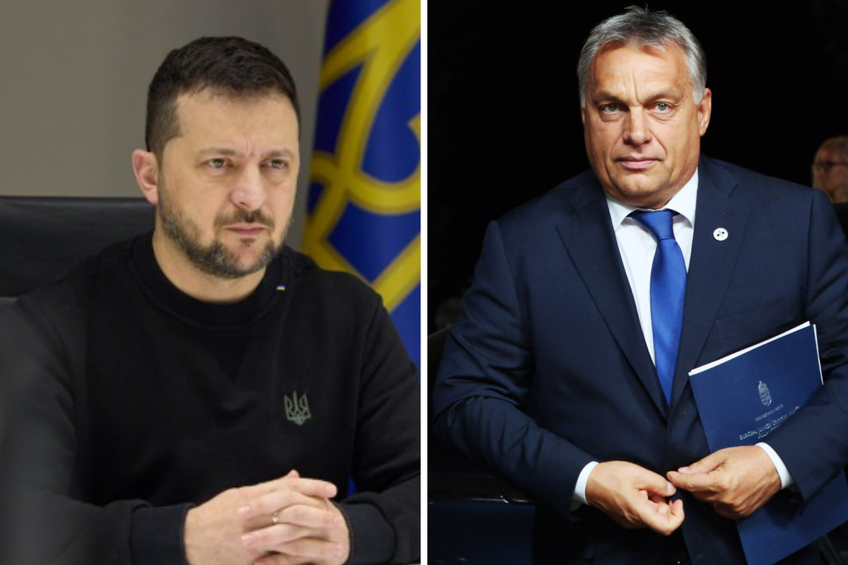 Стало известно об организации встречи Зеленского и Орбана