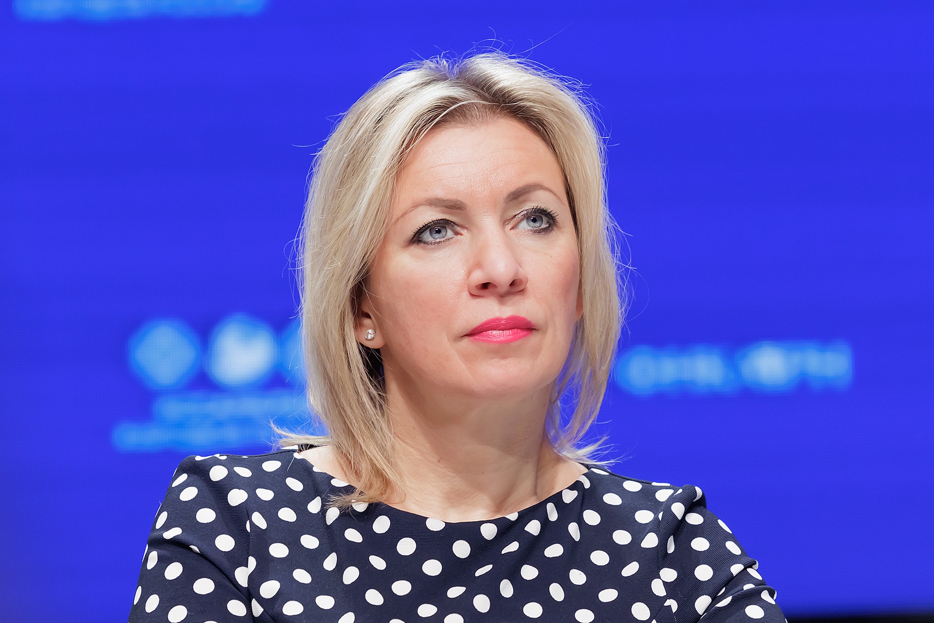 Захарова поинтересовалась у секретаря СНБО Украины Данилова, был ли Залужный в ВСУ