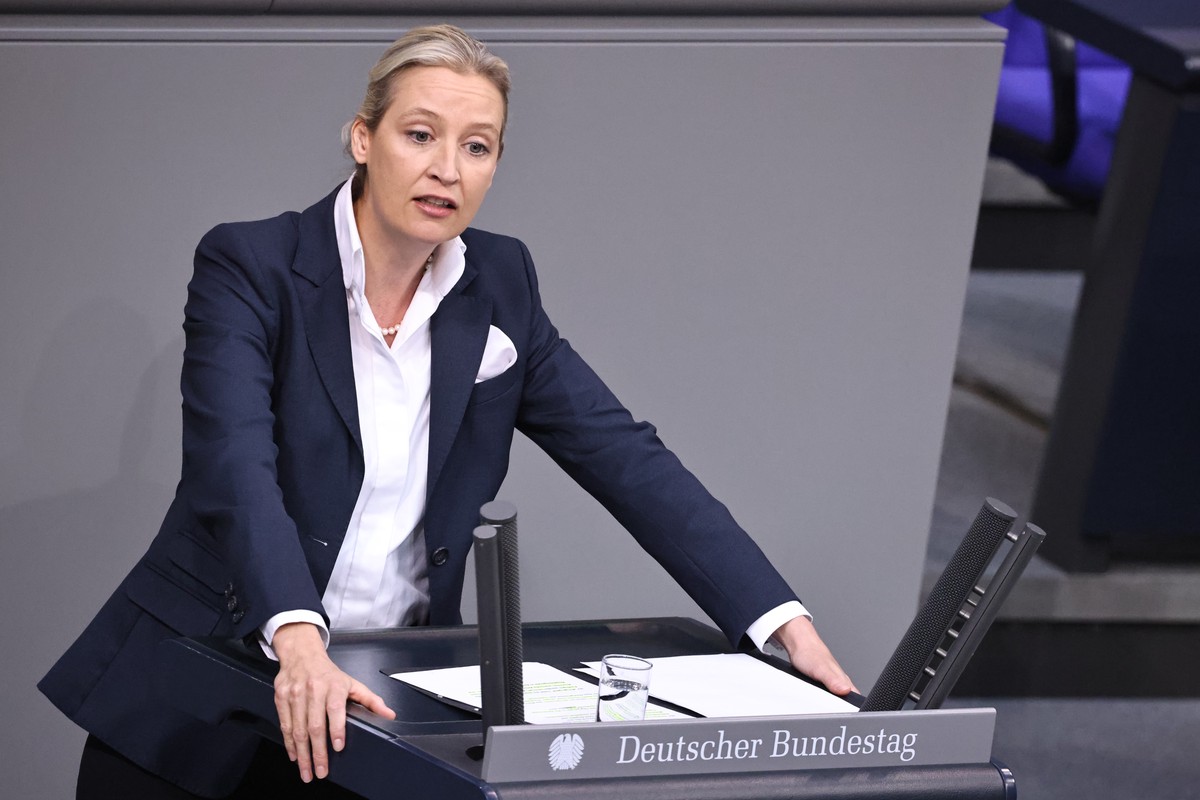Глава АдГ считает, что правительство Шольца ненавидит Германию